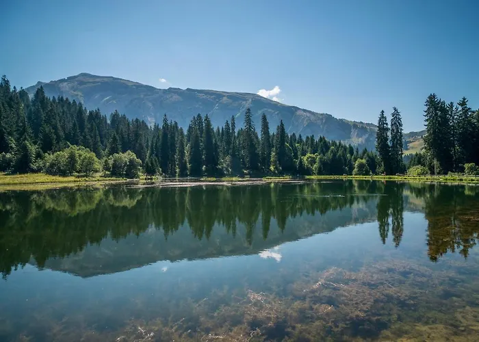 Apt Chenives 2 - Morzine