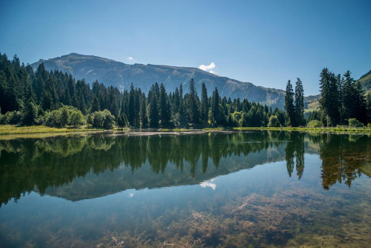 Chenives 2 -